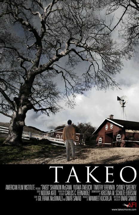 Постер фильма Takeo