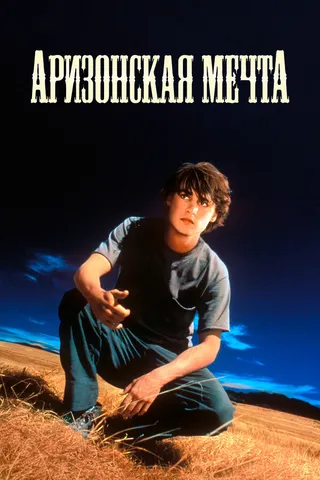 Постер Аризонская мечта (1991)