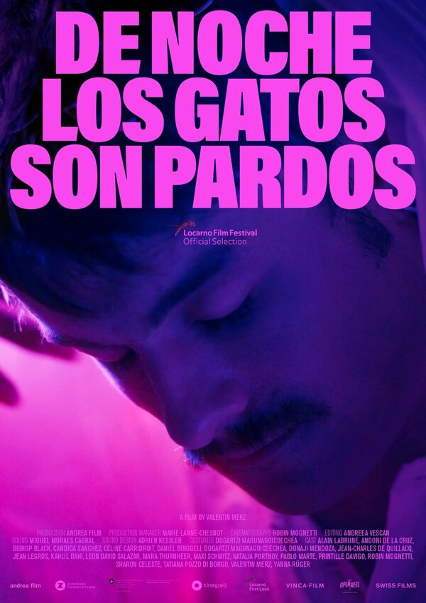 Постер фильма De noche los gatos son pardos