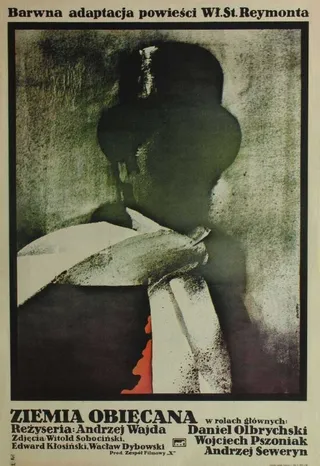 Постер Земля обетованная (1974)