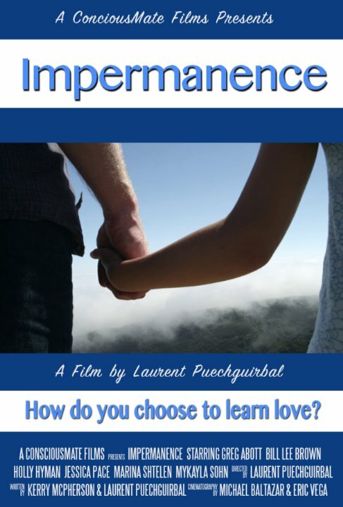 Постер фильма Impermanence