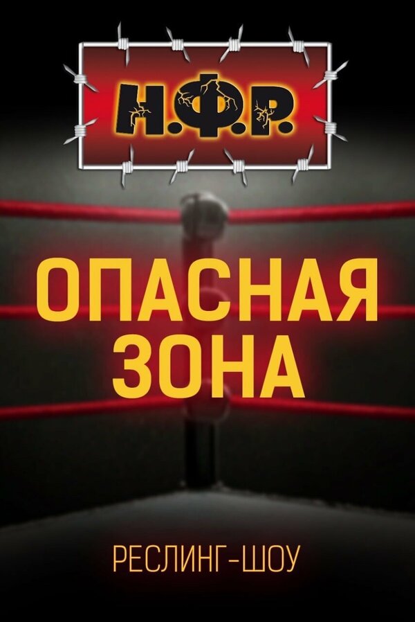 Постер сериала НФР: Опасная зона