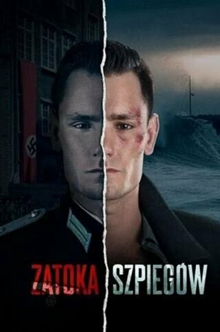 Постер сериала Шпионский залив