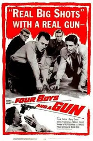 Four Boys and a Gun