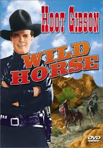 Постер фильма Wild Horse