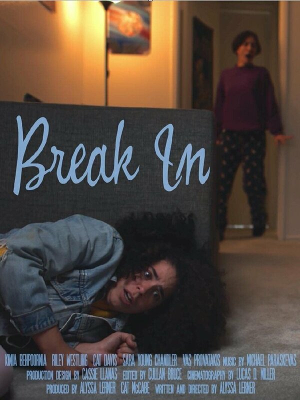 Постер фильма Break In