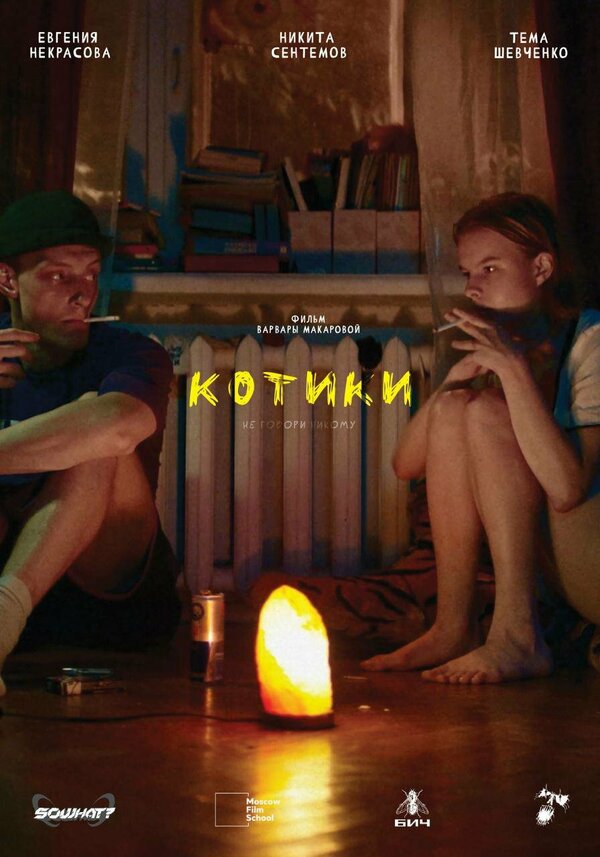 Постер фильма Котики
