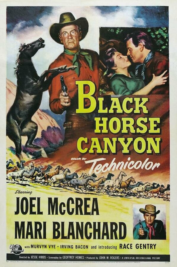 Постер фильма Black Horse Canyon