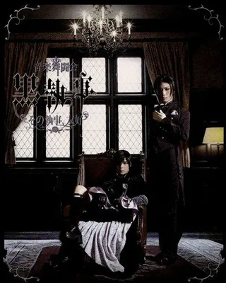 Постер Тёмный дворецкий (2009)