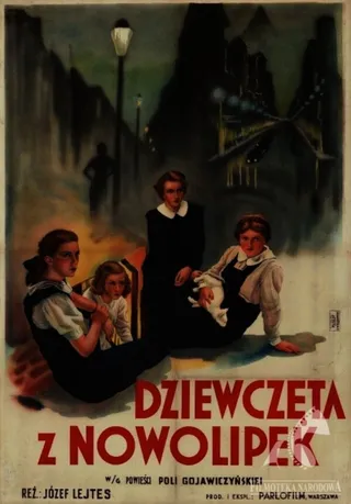 Постер Девушки из Новолипок (1937)