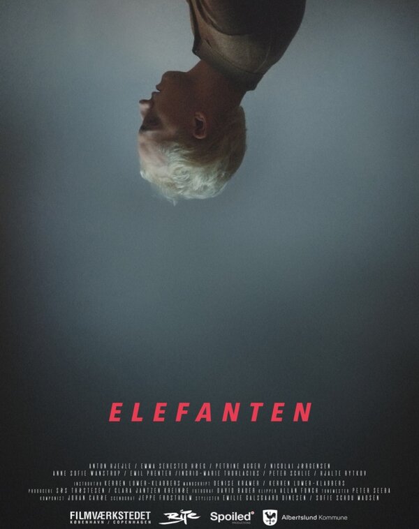 Постер фильма Elefanten