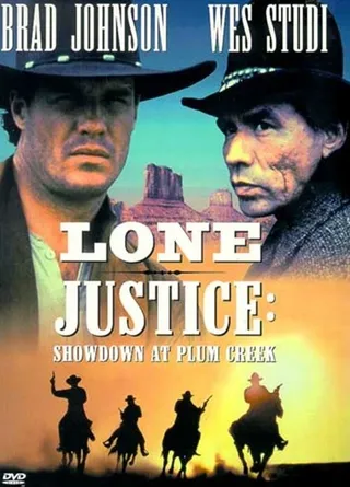 Постер Правосудие одиночки 2: Возвращение в Плам-Крик (1996)