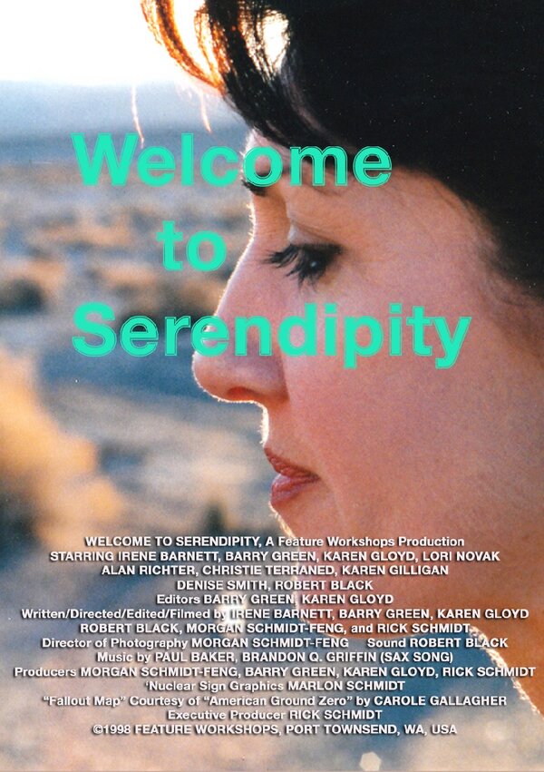 Постер фильма Welcome to Serendipity