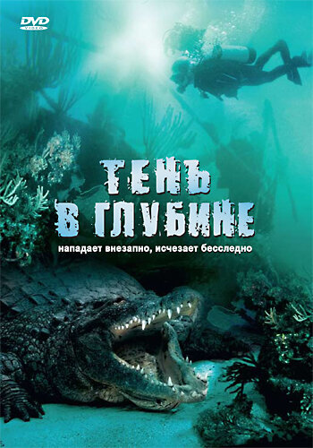 Постер фильма Тень в глубине
