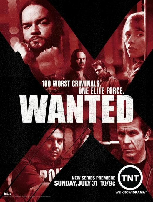 Постер сериала Объявлен в розыск