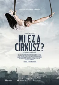 Что за цирк?