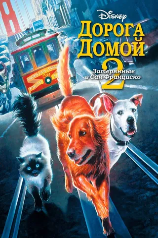 Постер Дорога домой 2: Затерянные в Сан-Франциско (1996)