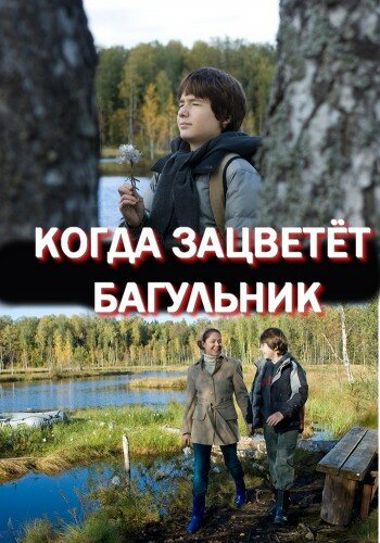 Постер фильма Когда зацветёт багульник