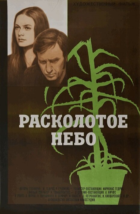 Постер фильма Расколотое небо