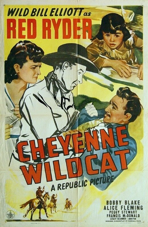 Постер фильма Cheyenne Wildcat