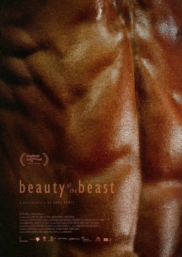 Постер фильма Beauty of the Beast