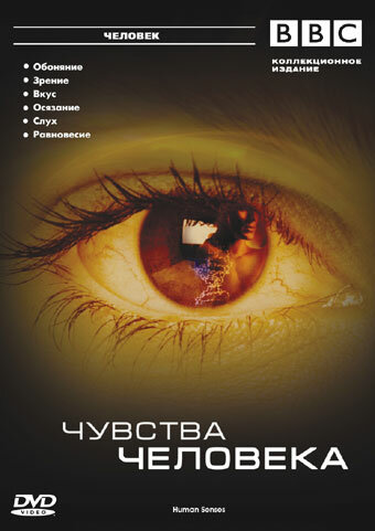 Постер сериала BBC: Чувства человека