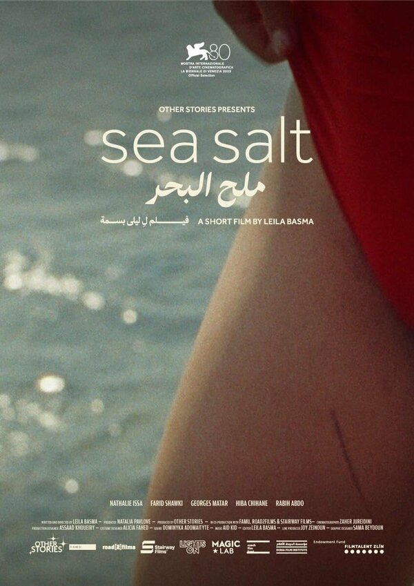 Постер фильма Sea Salt
