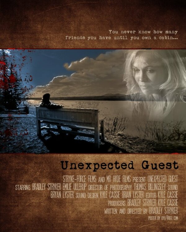 Постер фильма Unexpected Guest