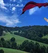 Лара Дим