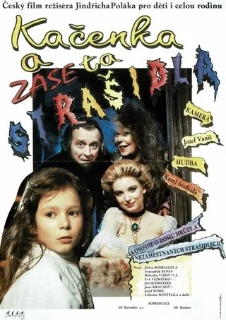 Постер Каченка и призраки (1993)
