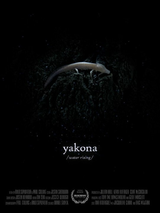 Постер фильма Yakona