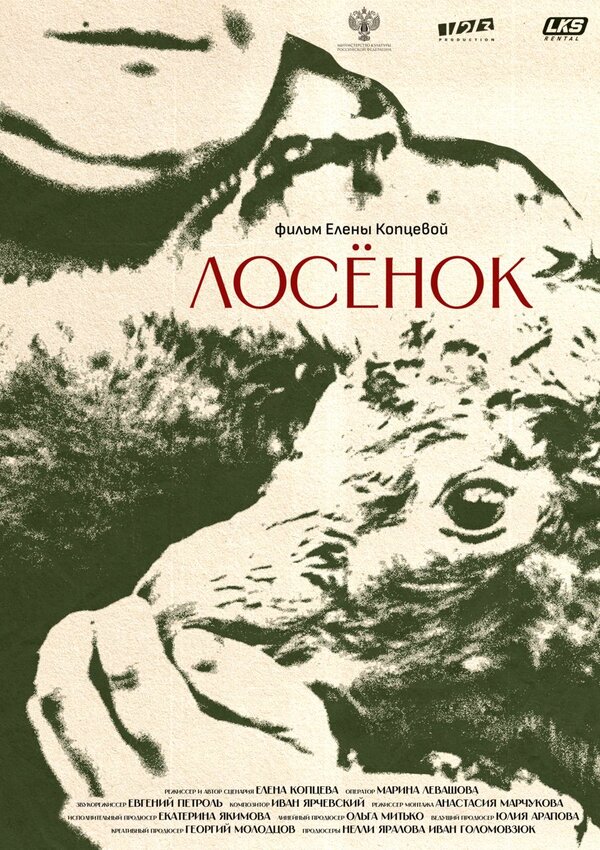 Постер фильма Лосенок