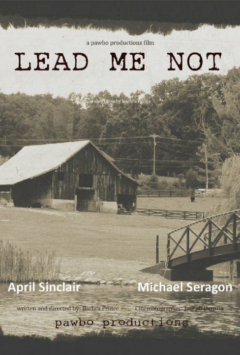 Постер фильма Lead Me Not