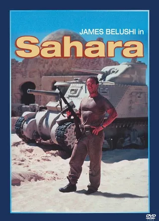 Постер Сахара (1995)