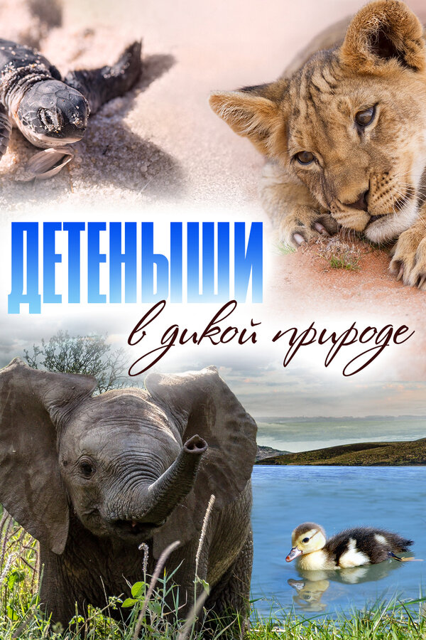 Постер сериала Детеныши в дикой природе