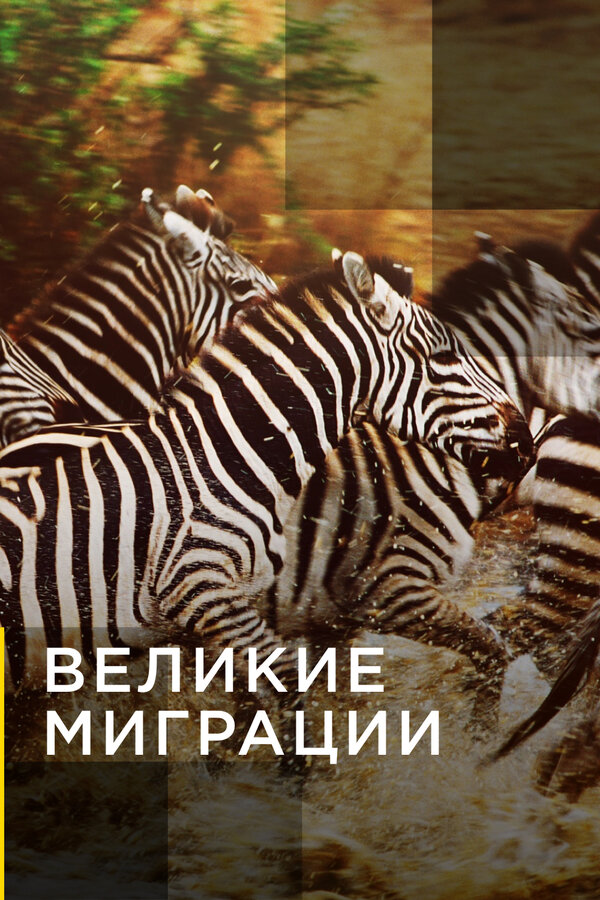 Постер сериала Великие миграции