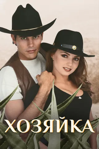 Постер Хозяйка (1995)