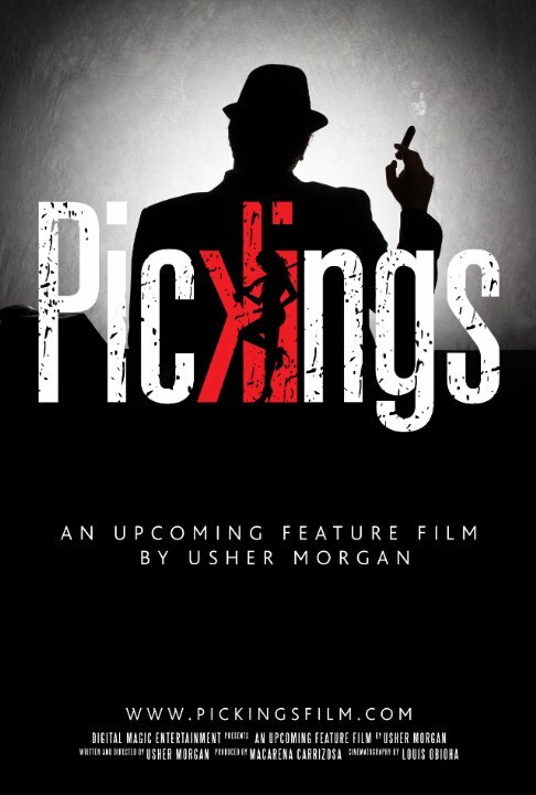 Постер фильма Pickings