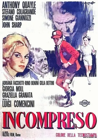 Постер Не­понятый (1967)