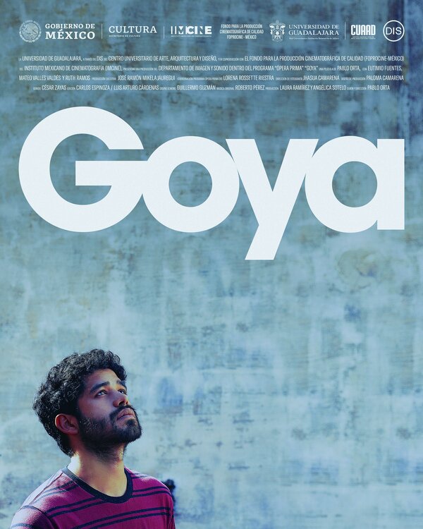 Постер фильма Goya