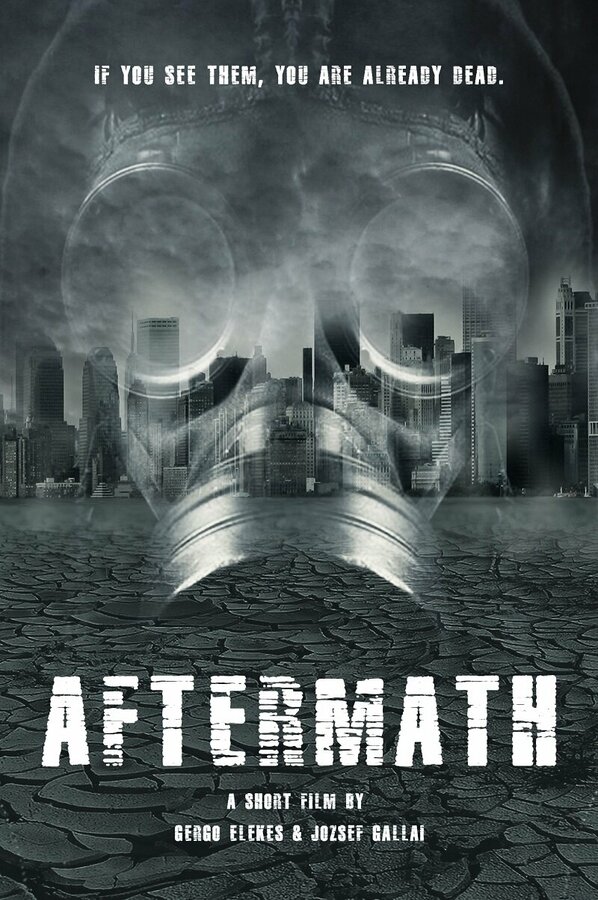 Постер фильма Aftermath