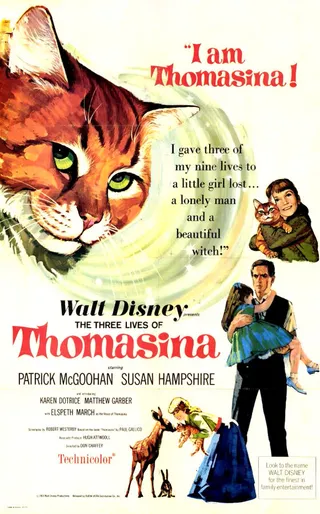Постер Три жизни Томазины (1963)