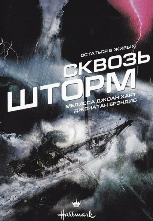Постер фильма Сквозь шторм