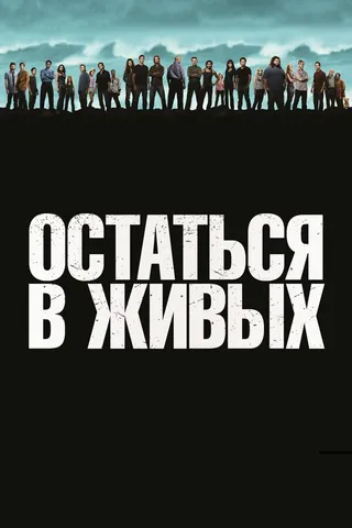 Постер Остаться в живых (2004)