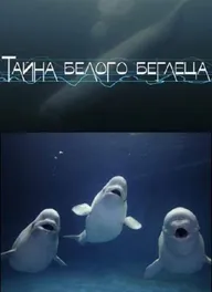 Тайна белого беглеца