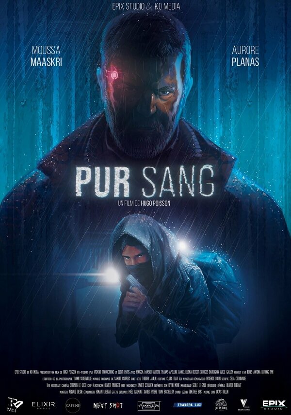 Постер фильма Pur Sang
