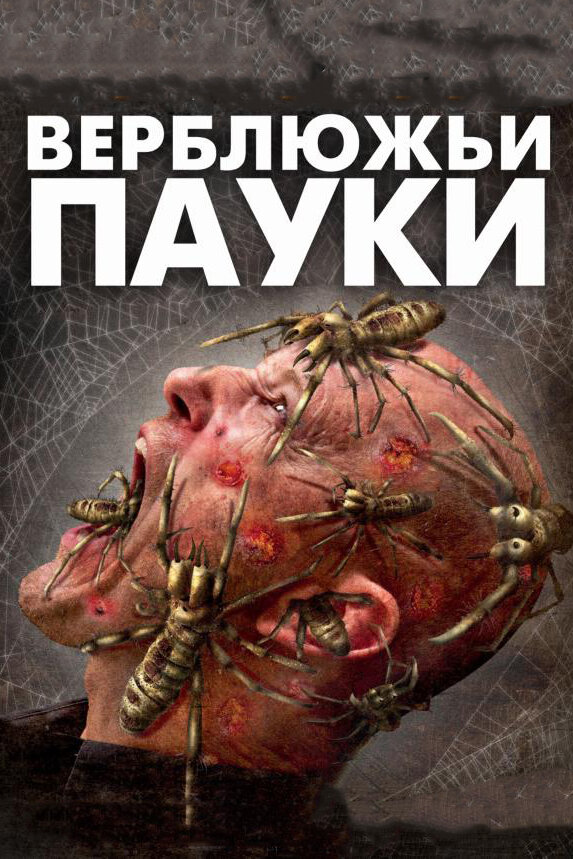 Постер фильма Верблюжьи пауки