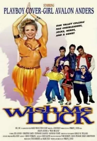 Постер Пожелай мне удачи (1995)