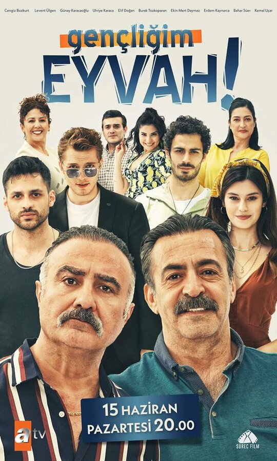 Постер сериала Моя молодость