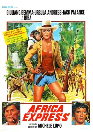 Постер Африка экспресс (1975)